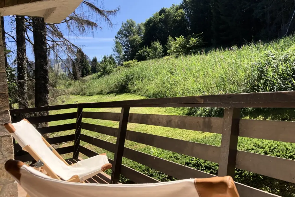 Séjour Montagnard Avec Vue Et Confort Optimal