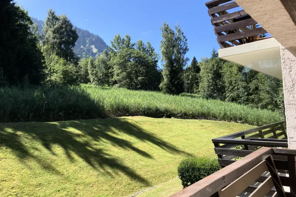 Séjour Montagnard Avec Vue Et Confort Optimal