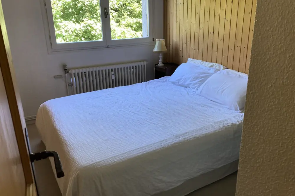 Séjour Montagnard Avec Vue Et Confort Optimal