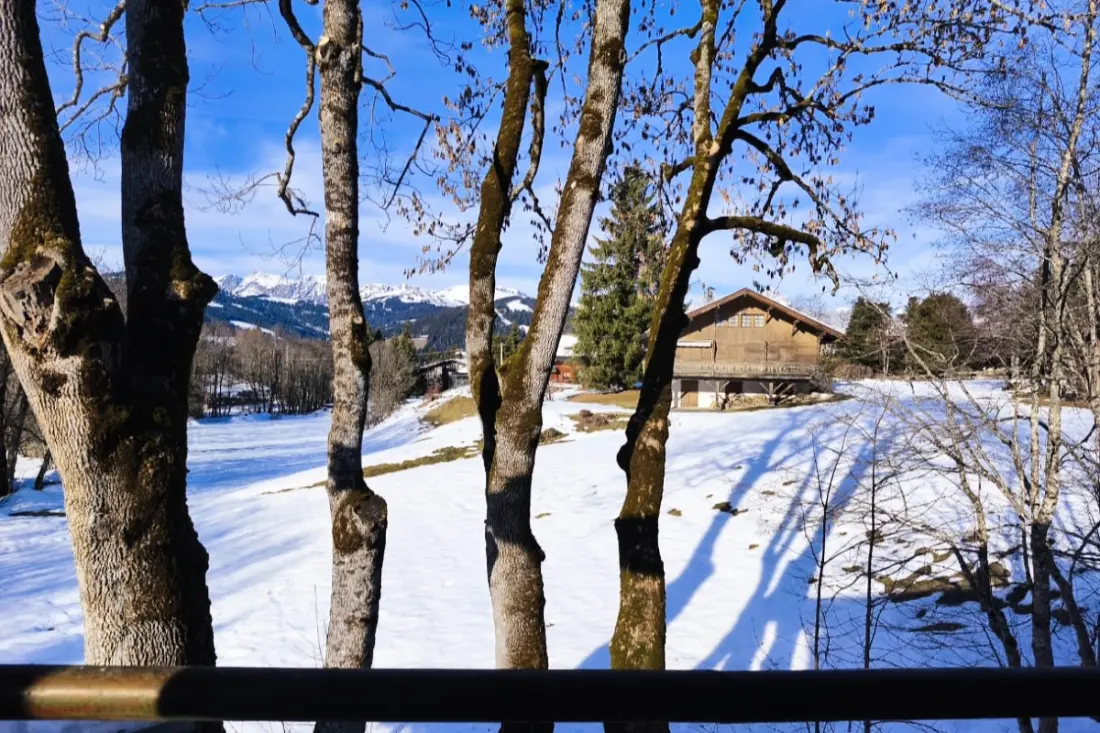 Séjournez Dans Un Chalet De Montagne Idéal !