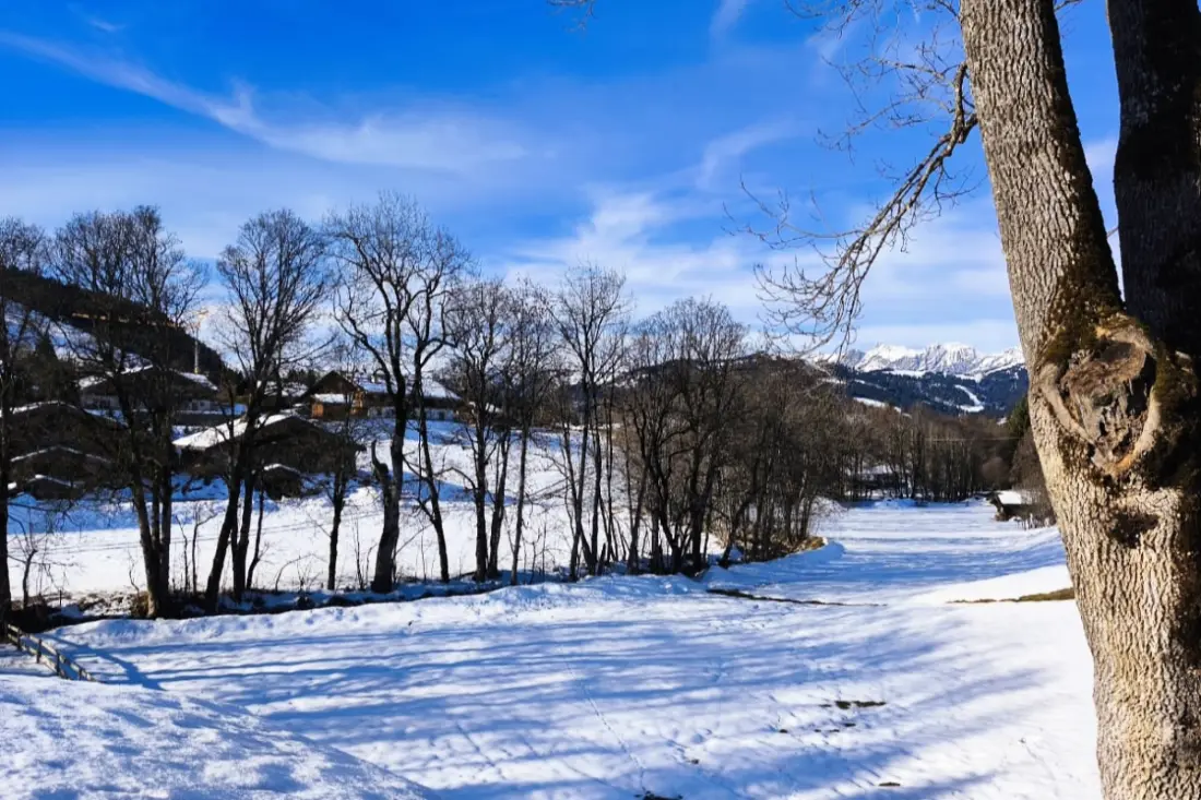 Séjournez Dans Un Chalet De Montagne Idéal !