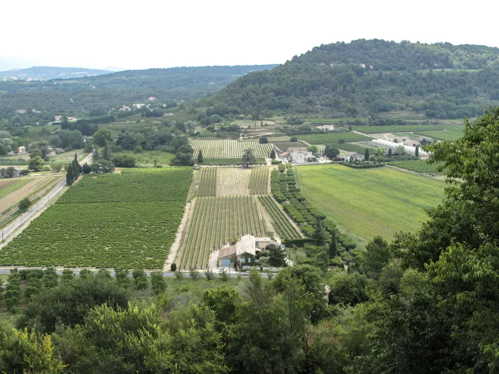 Maison de Vacances Ménerbes