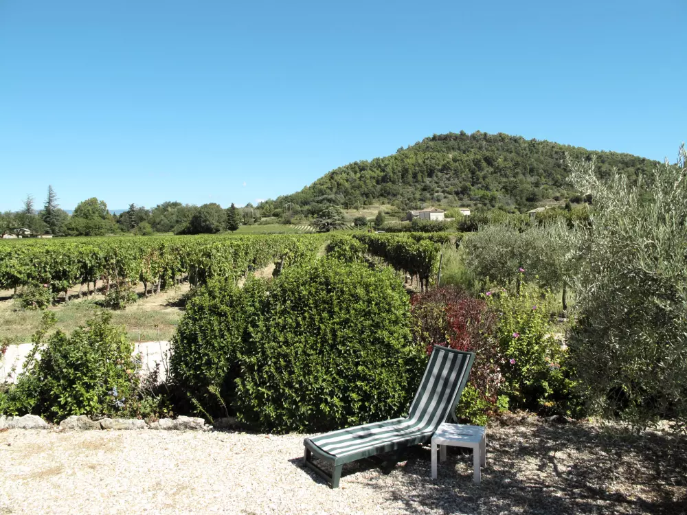 Maison de Vacances Ménerbes