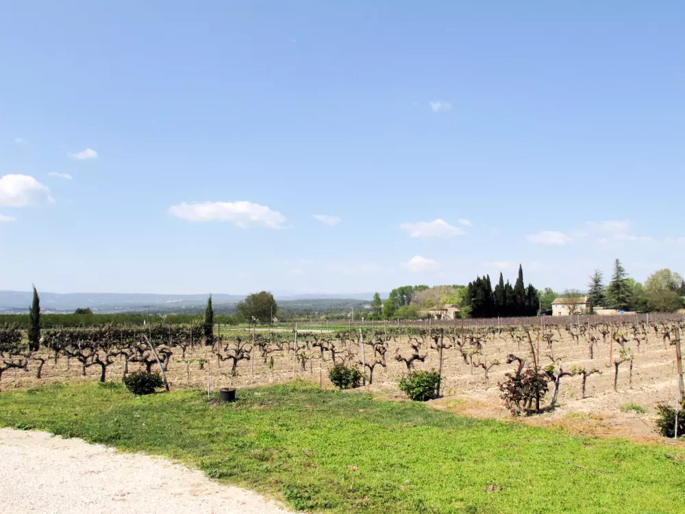 Maison de Vacances Ménerbes