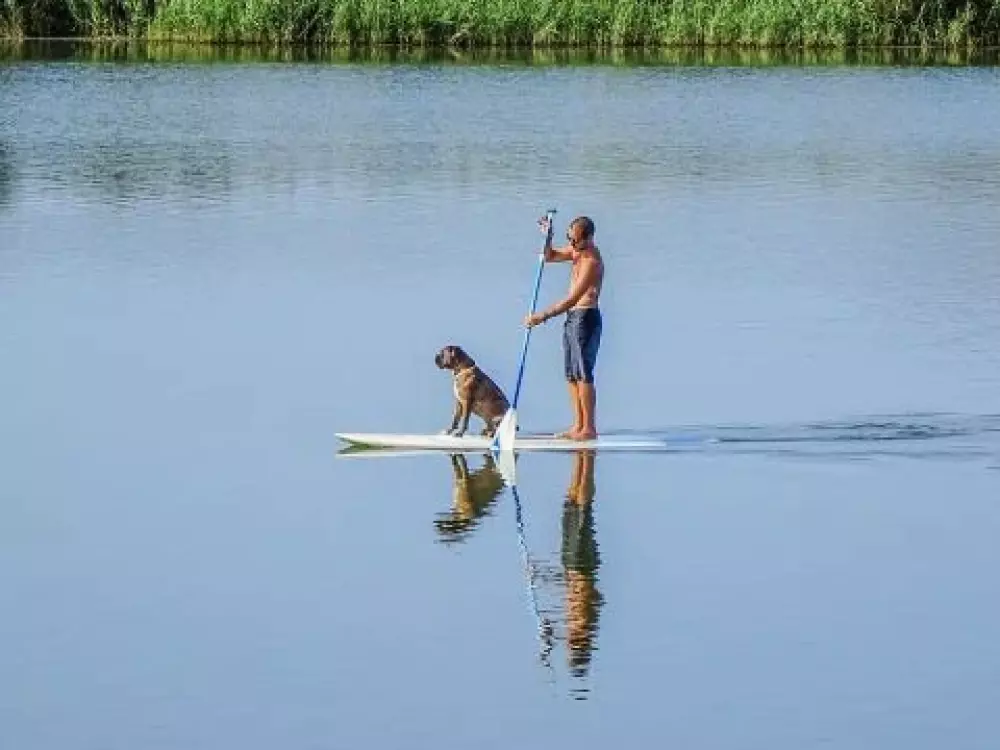 Camping Domaine De L'Ubaye 5 étoiles★★★★★