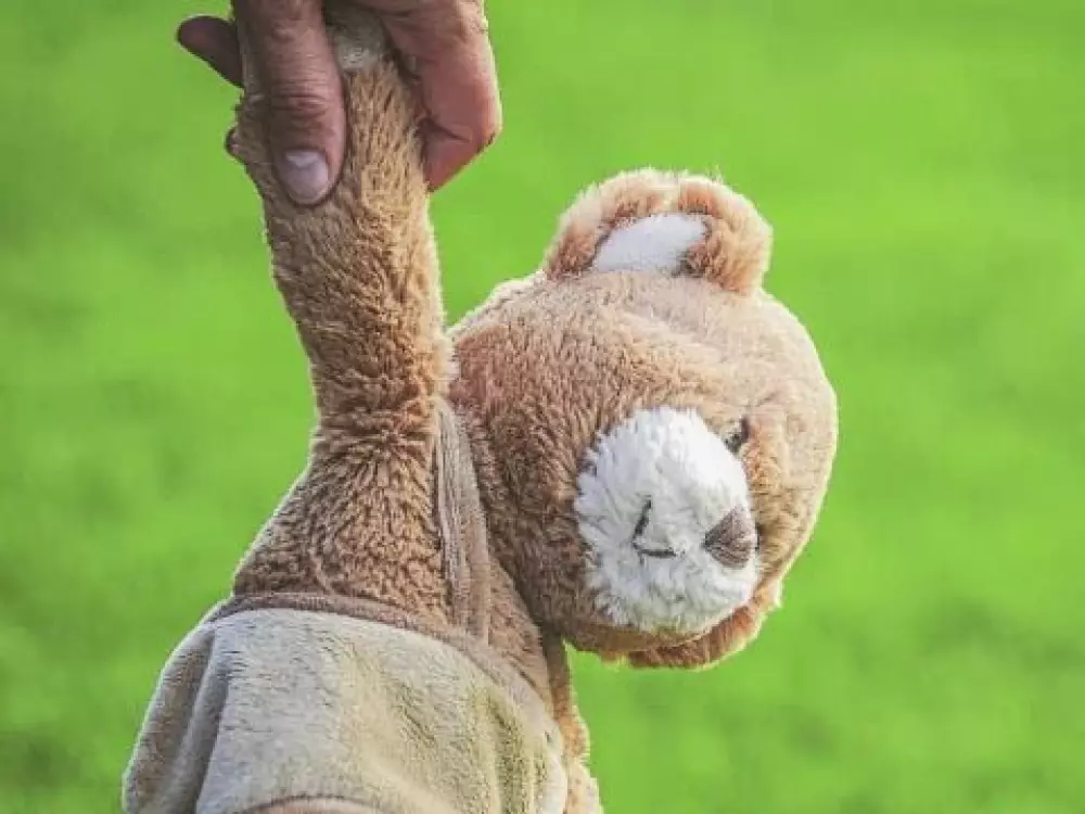 Camping Domaine De L'Ubaye 5 étoiles★★★★★