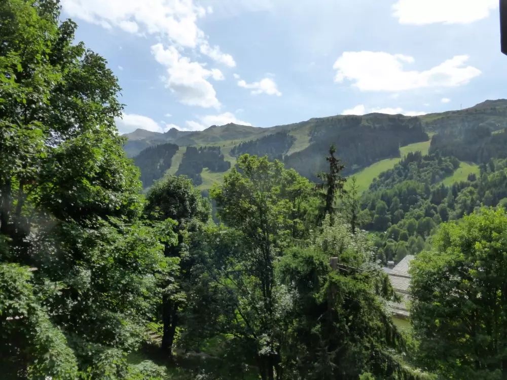 Résidence L'edelweiss