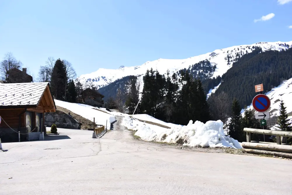 Chalet Les Colleys