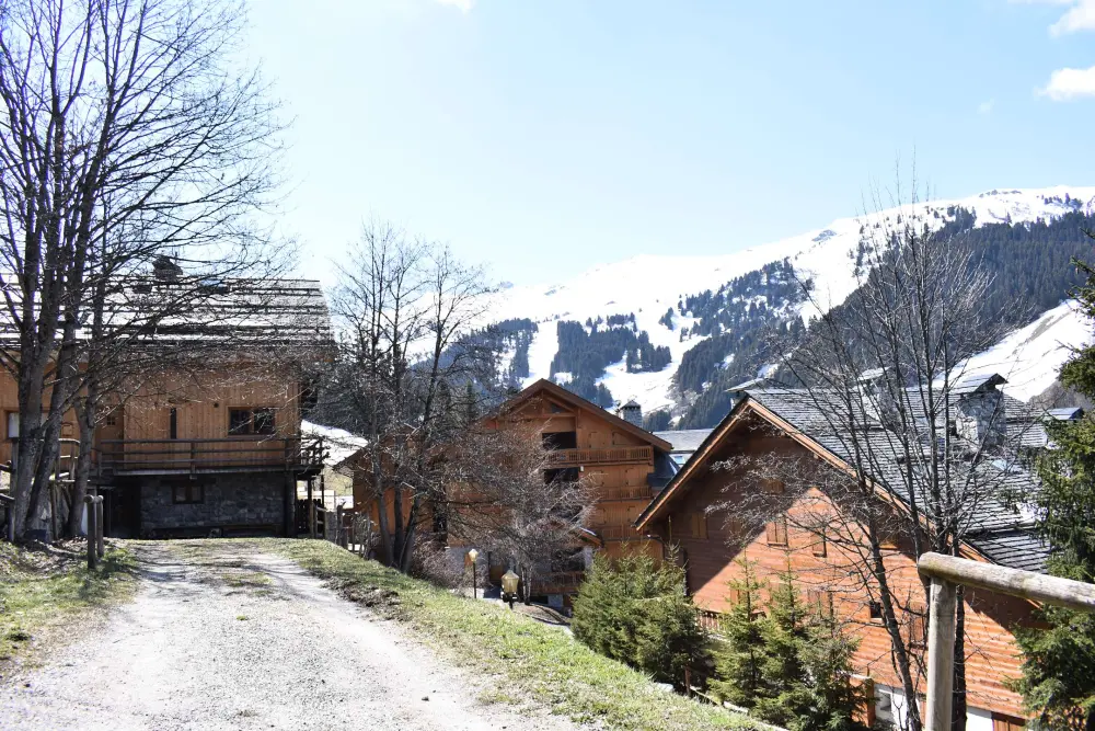 Chalet Les Colleys