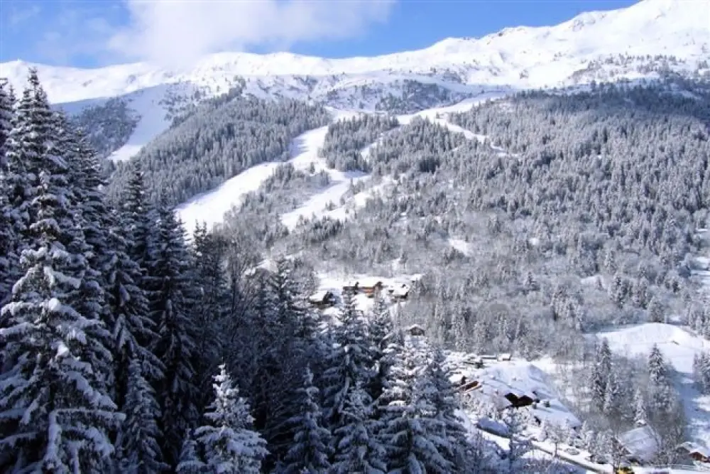 Chalet Manekineko