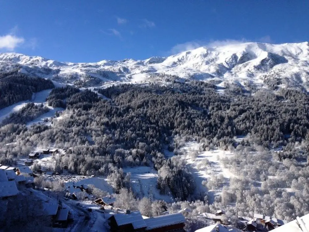 Chalet Manekineko