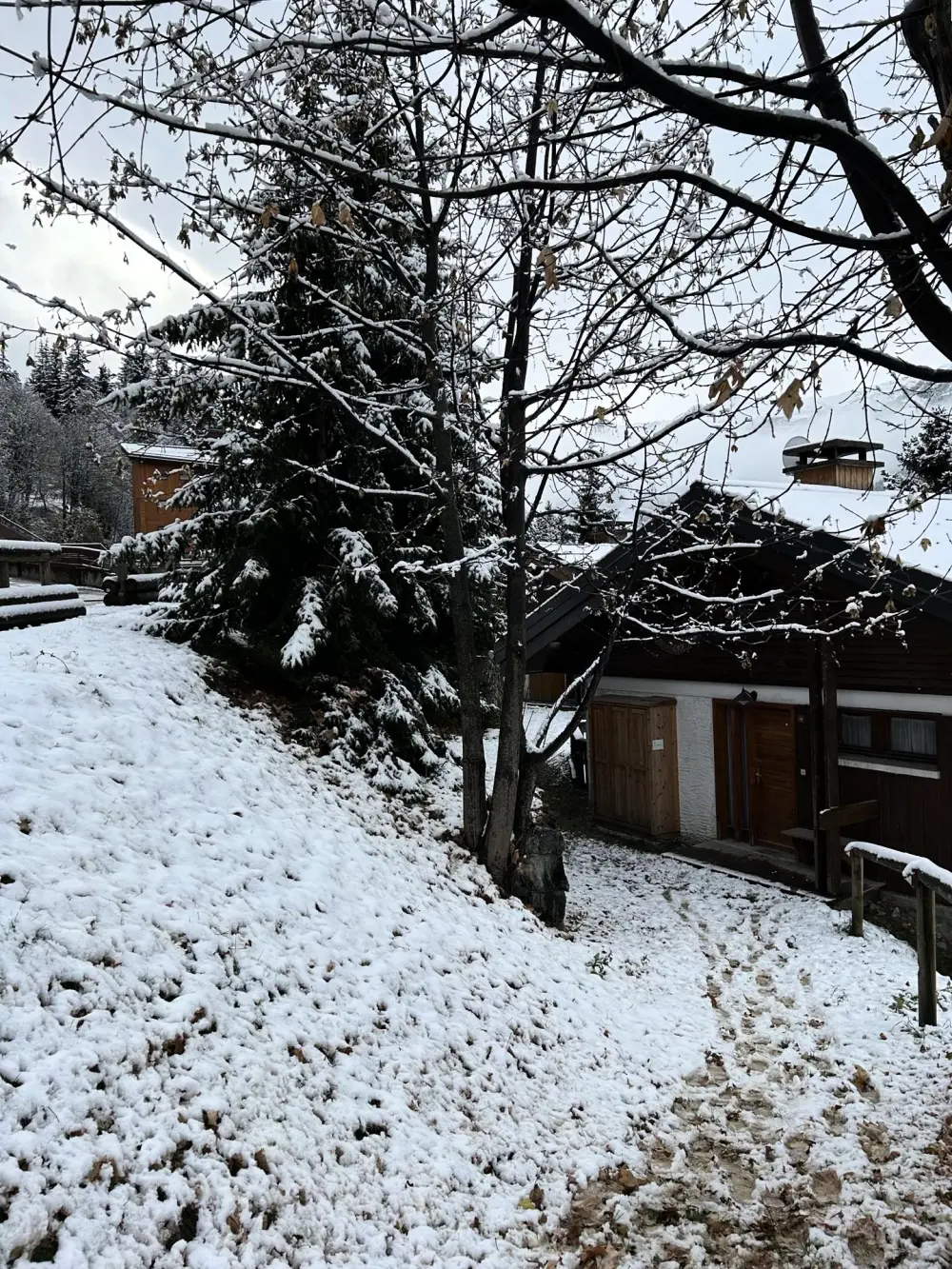 Chalet Manekineko
