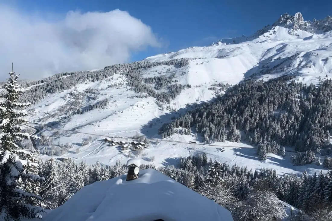 Chalet Chardon Bleu