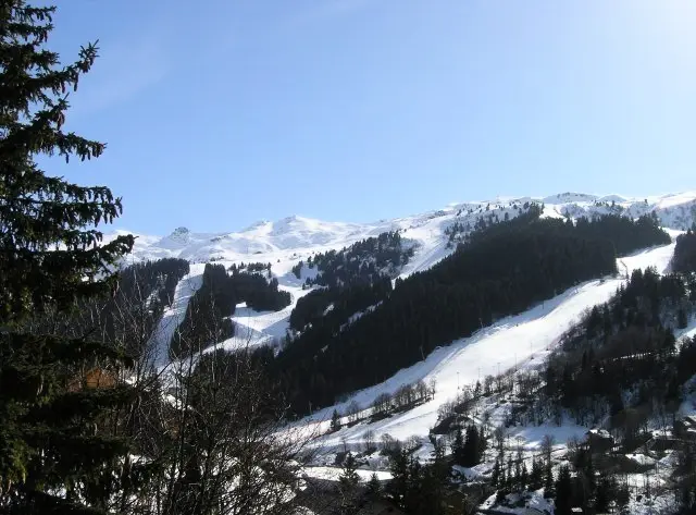 Résidence Edelweiss