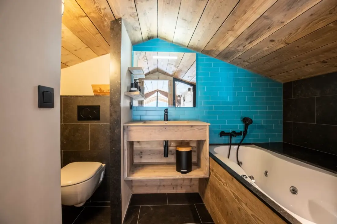 Sherpa 17 Avec Sauna, Front De Neige Mottaret