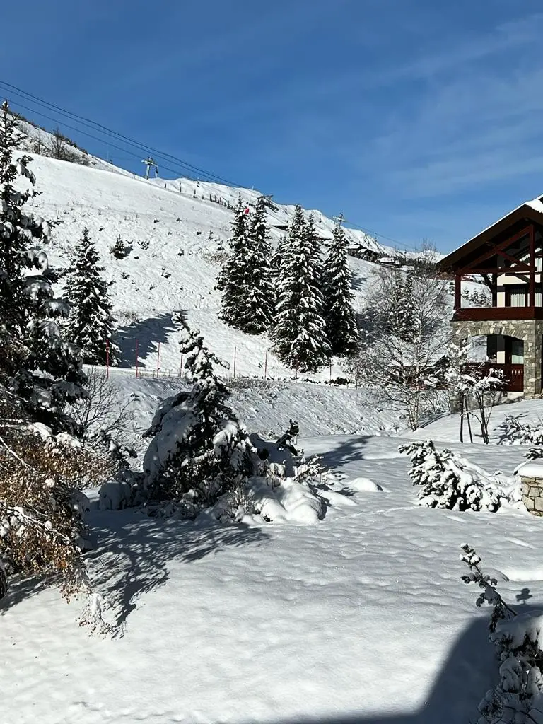 Résidence Alpages De Mottaret, C