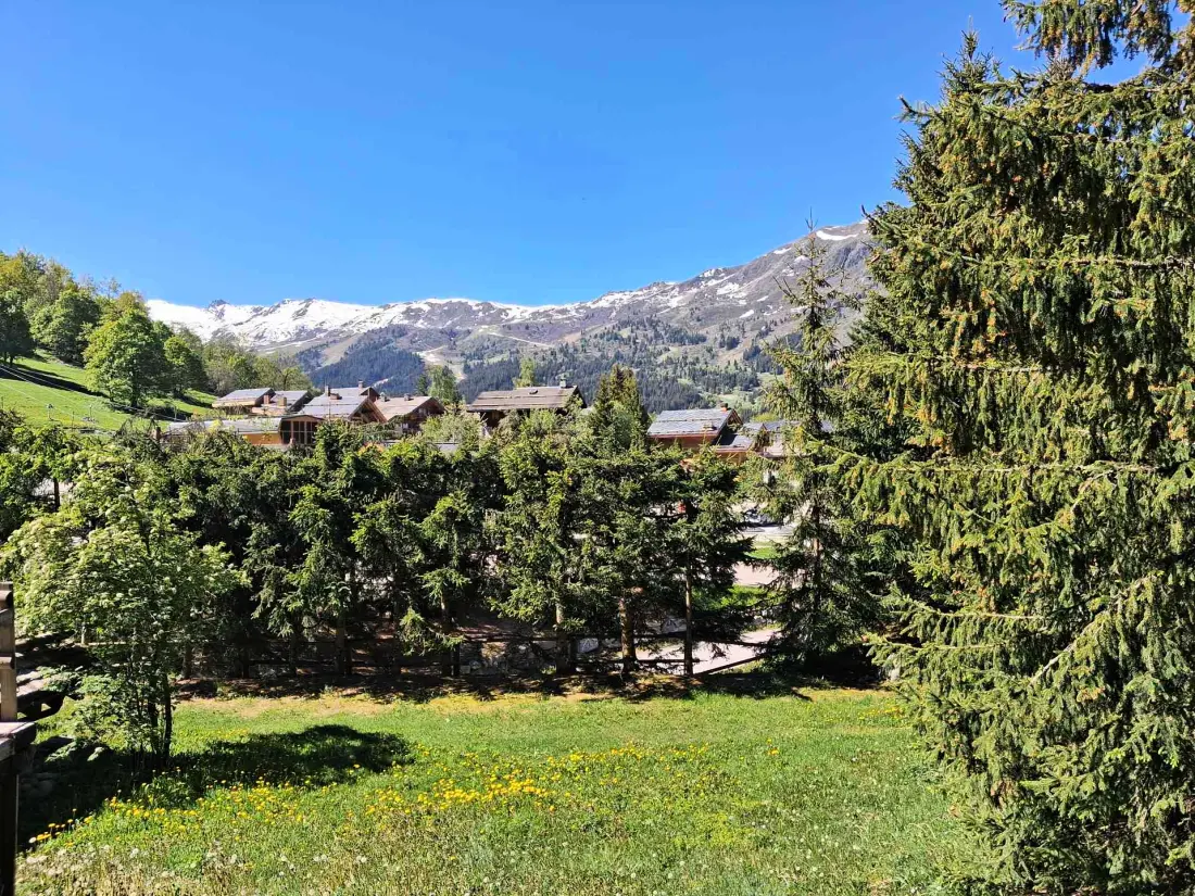 Résidence Fermes De Meribel Bat A