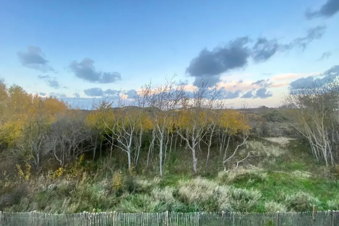 Résidence Cottage Cosy Pour 4 Personnes Avec Accès Aux Dunes