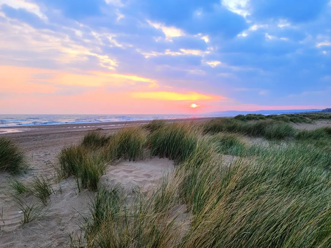 Location de Vacances Merville-Franceville-Plage 81