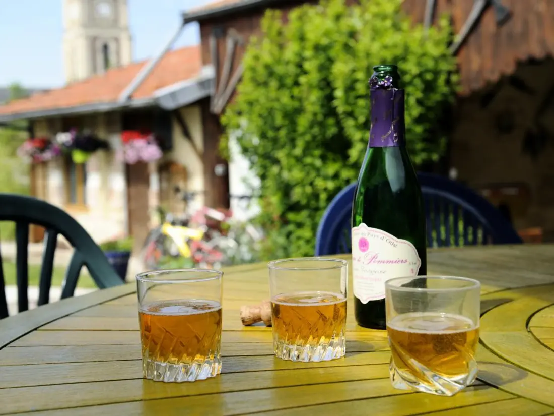 Maison de Vacances Méry-sur-Seine 3