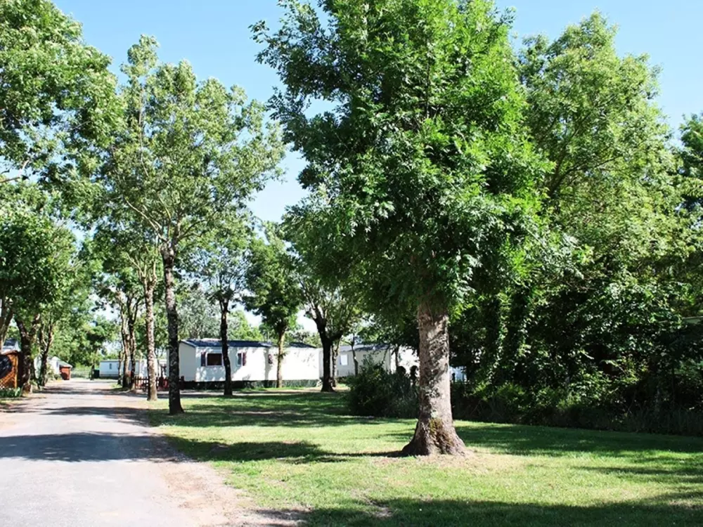 Camping Soleil Levant 4 étoiles★★★★