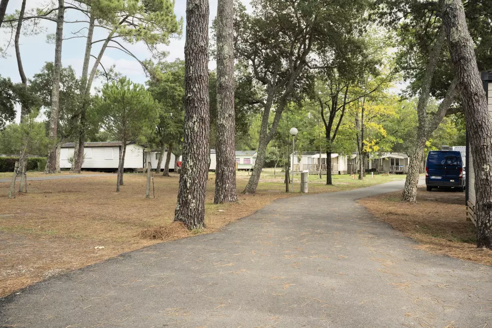 Camping Paradis Albret 3 étoiles★★★