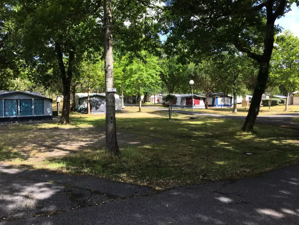 Camping Paradis Albret 3 étoiles★★★