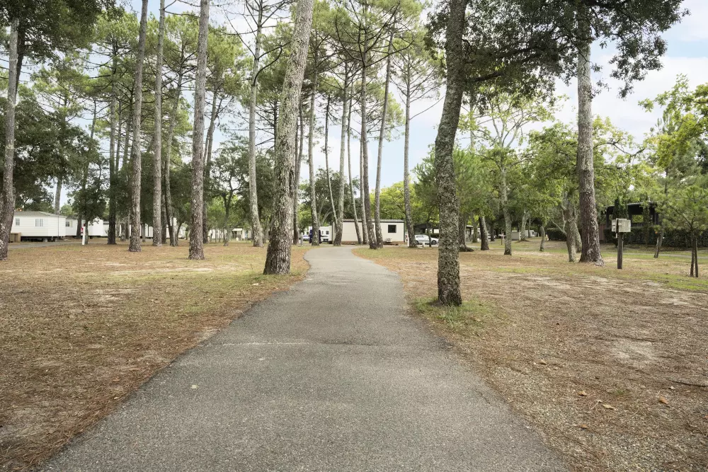 Camping Paradis Albret 3 étoiles★★★