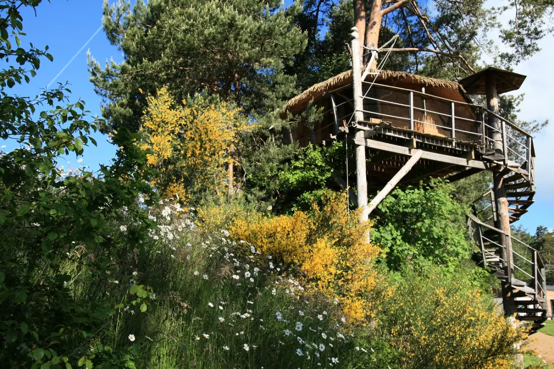Résidence Vacancéole Le Domaine des Monédières 3 étoiles★★★