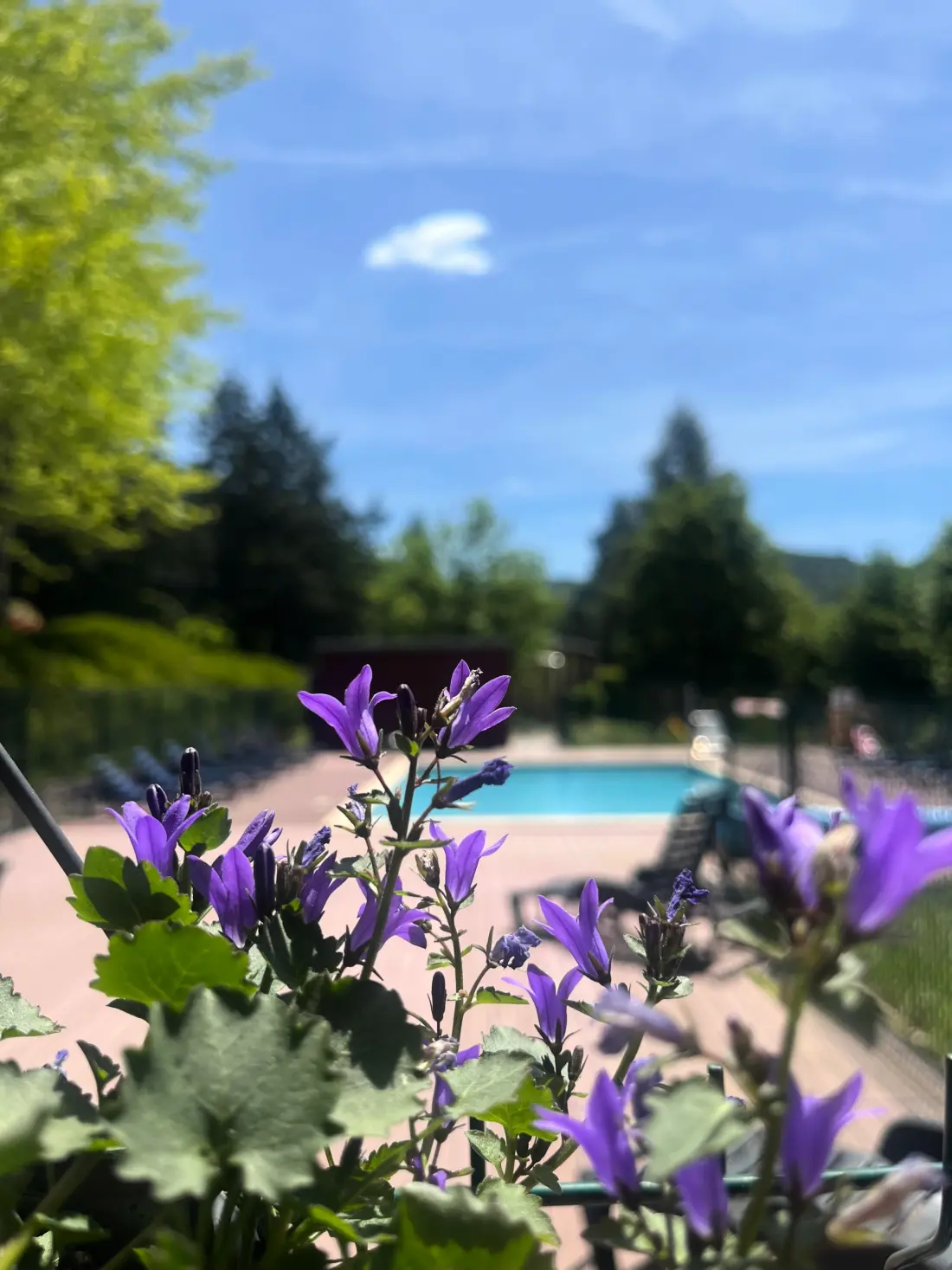 Domaine Aigoual Cévennes 3 étoiles★★★