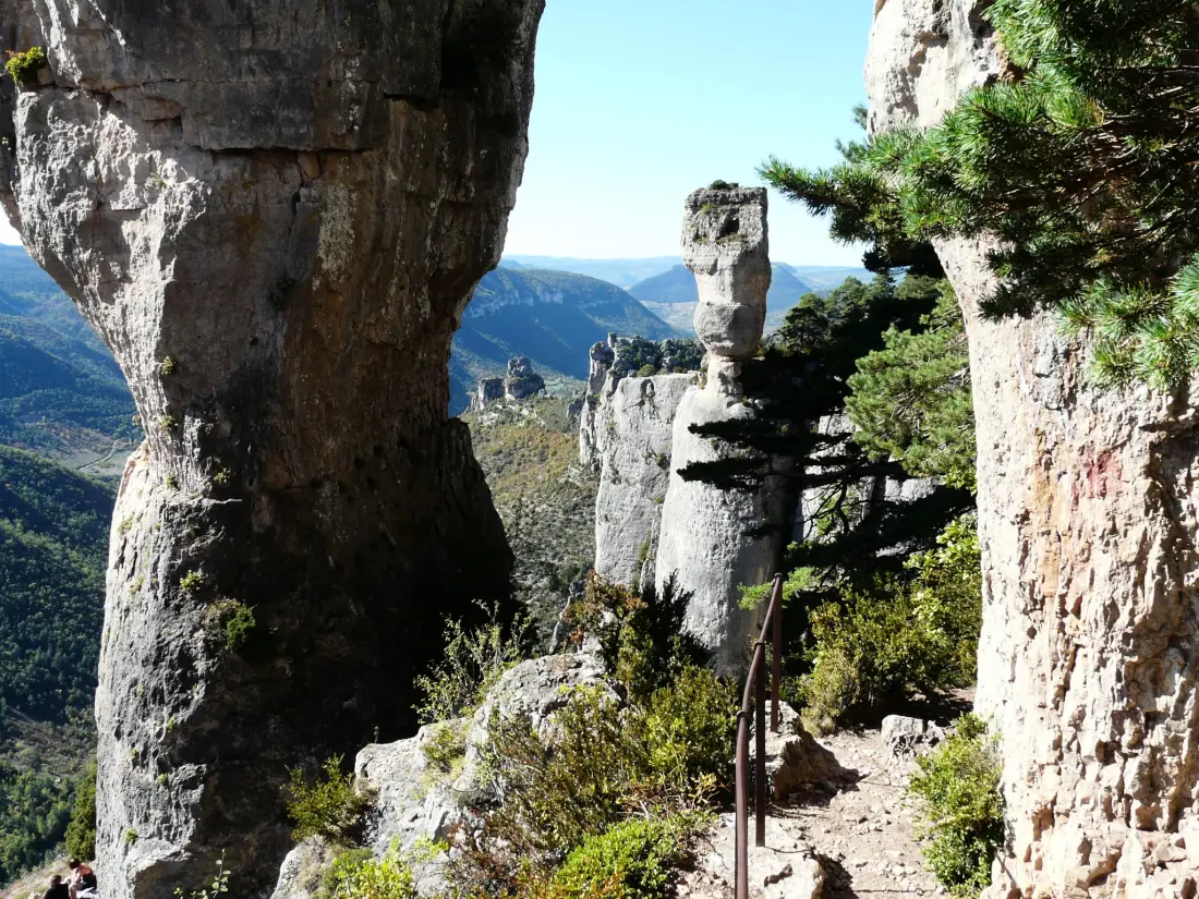 Domaine Aigoual Cévennes 3 étoiles★★★