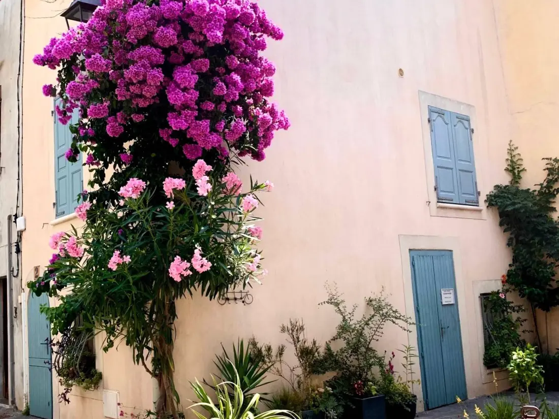 Location de Vacances Mèze 2
