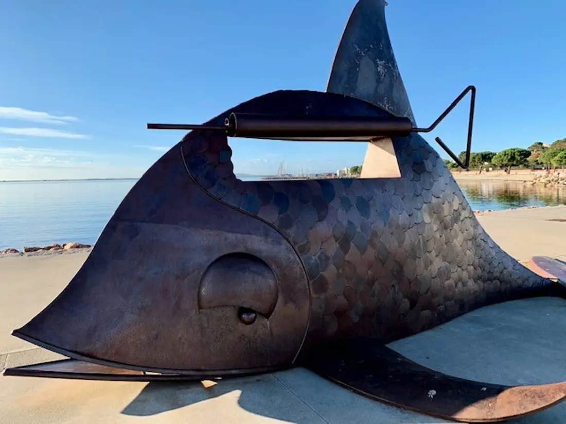Location de Vacances Mèze 27