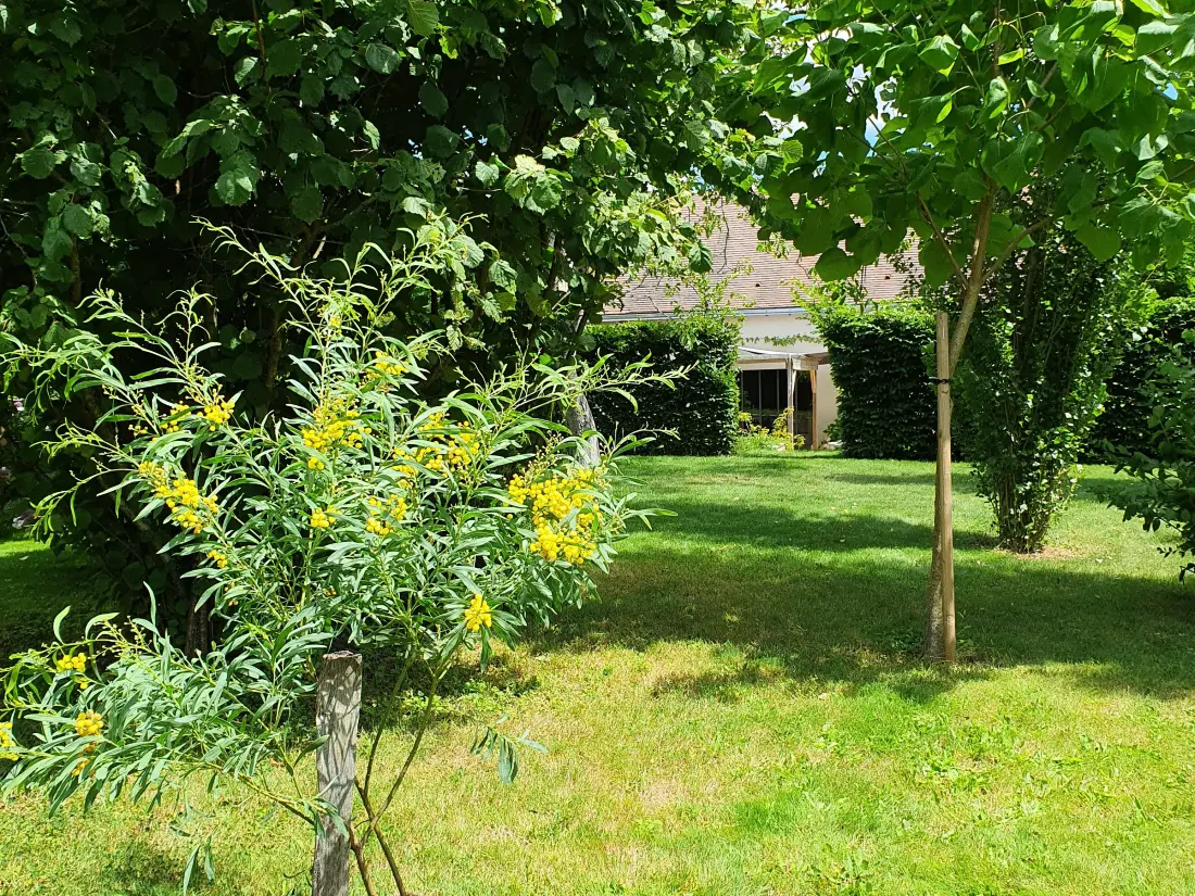Maison de Vacances Communauté de communes Brenne - Val de Creuse-Rosnay 2