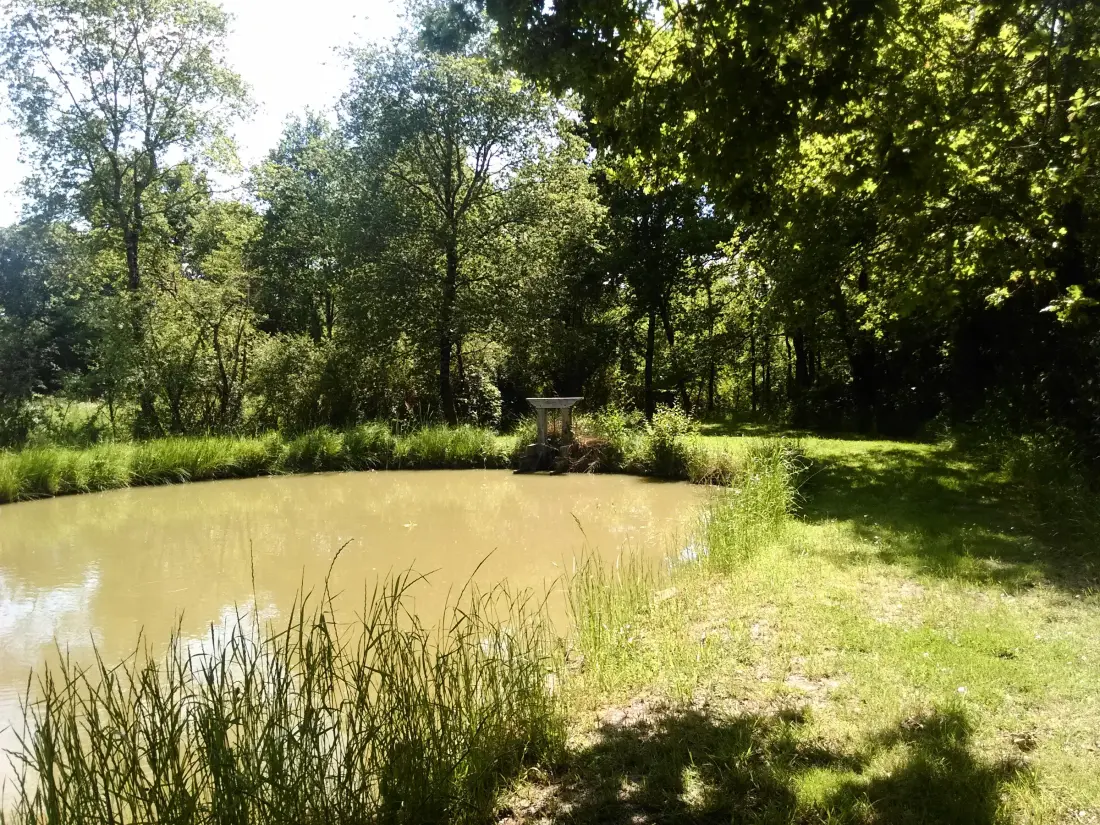 Maison de Vacances Communauté de communes Brenne - Val de Creuse-Rosnay 6