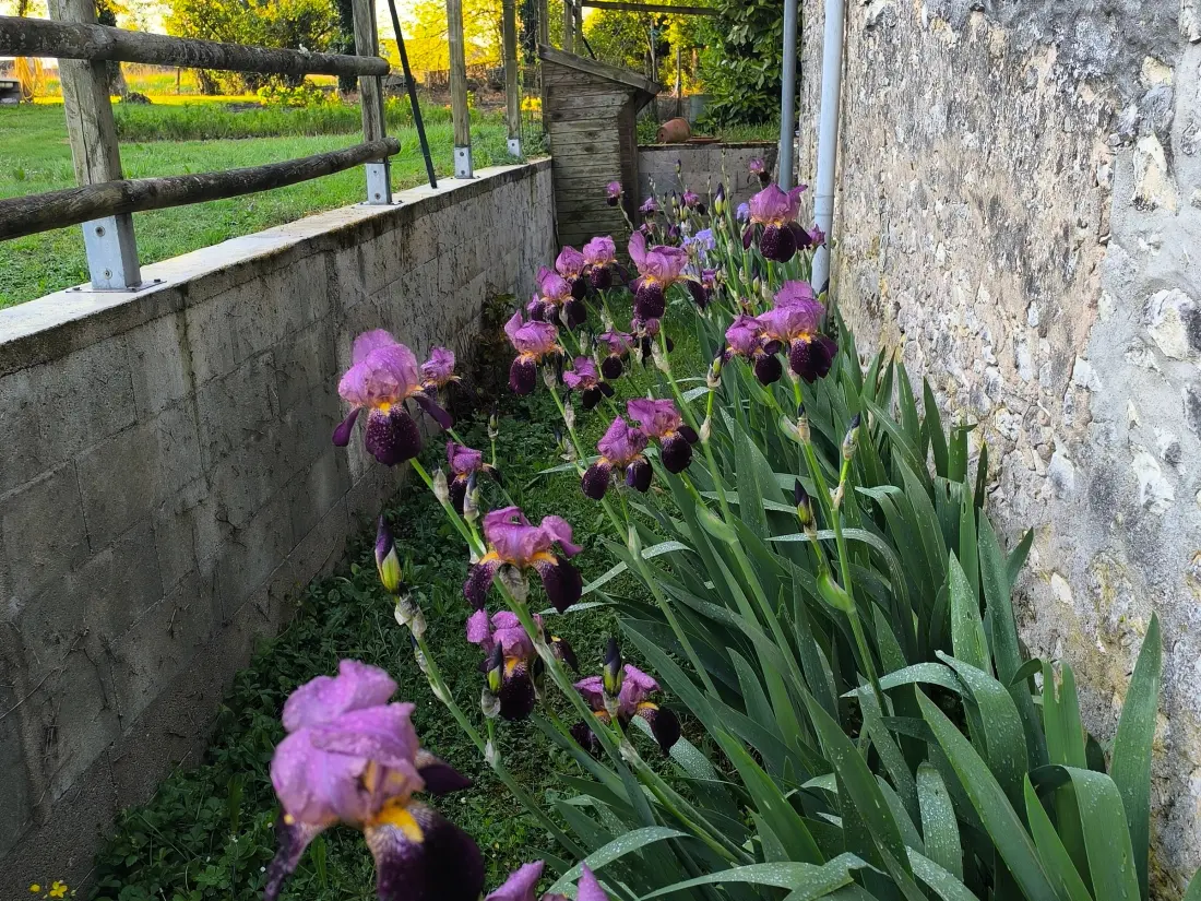 Maison de Vacances Mézières-en-Brenne 7