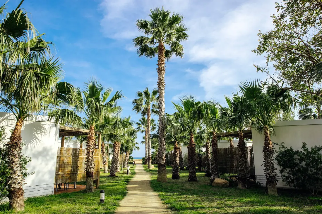 Camping Alannia Els Prats