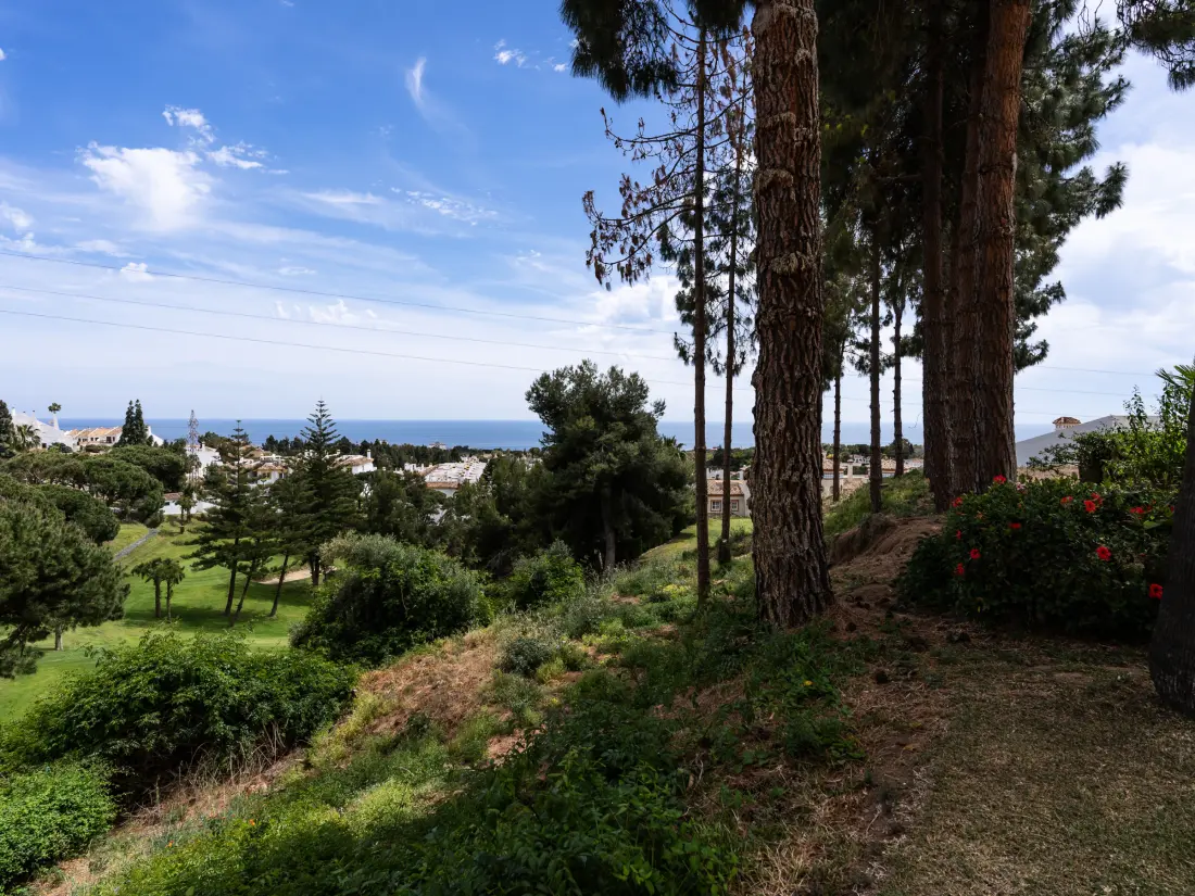 Location de Vacances Mijas 33