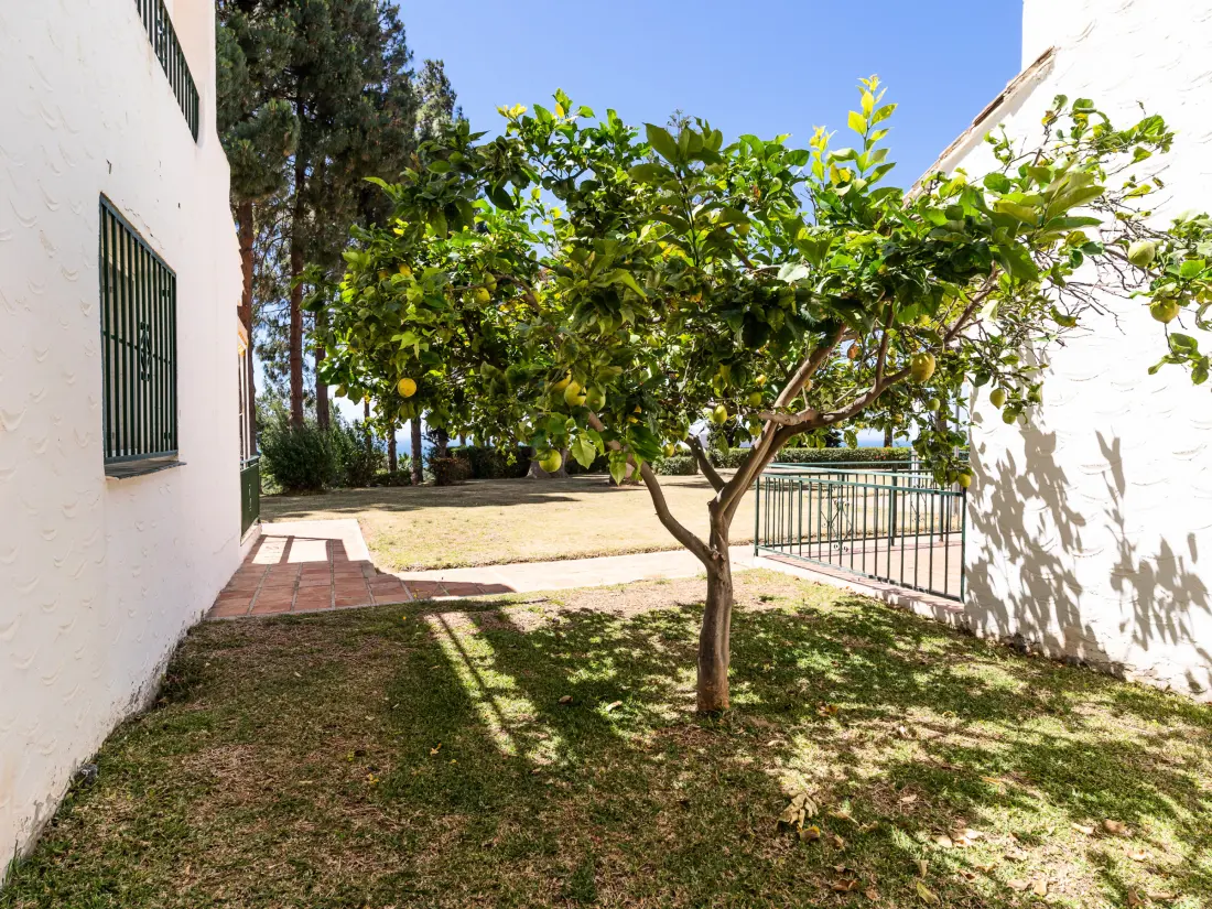 Location de Vacances Mijas 33