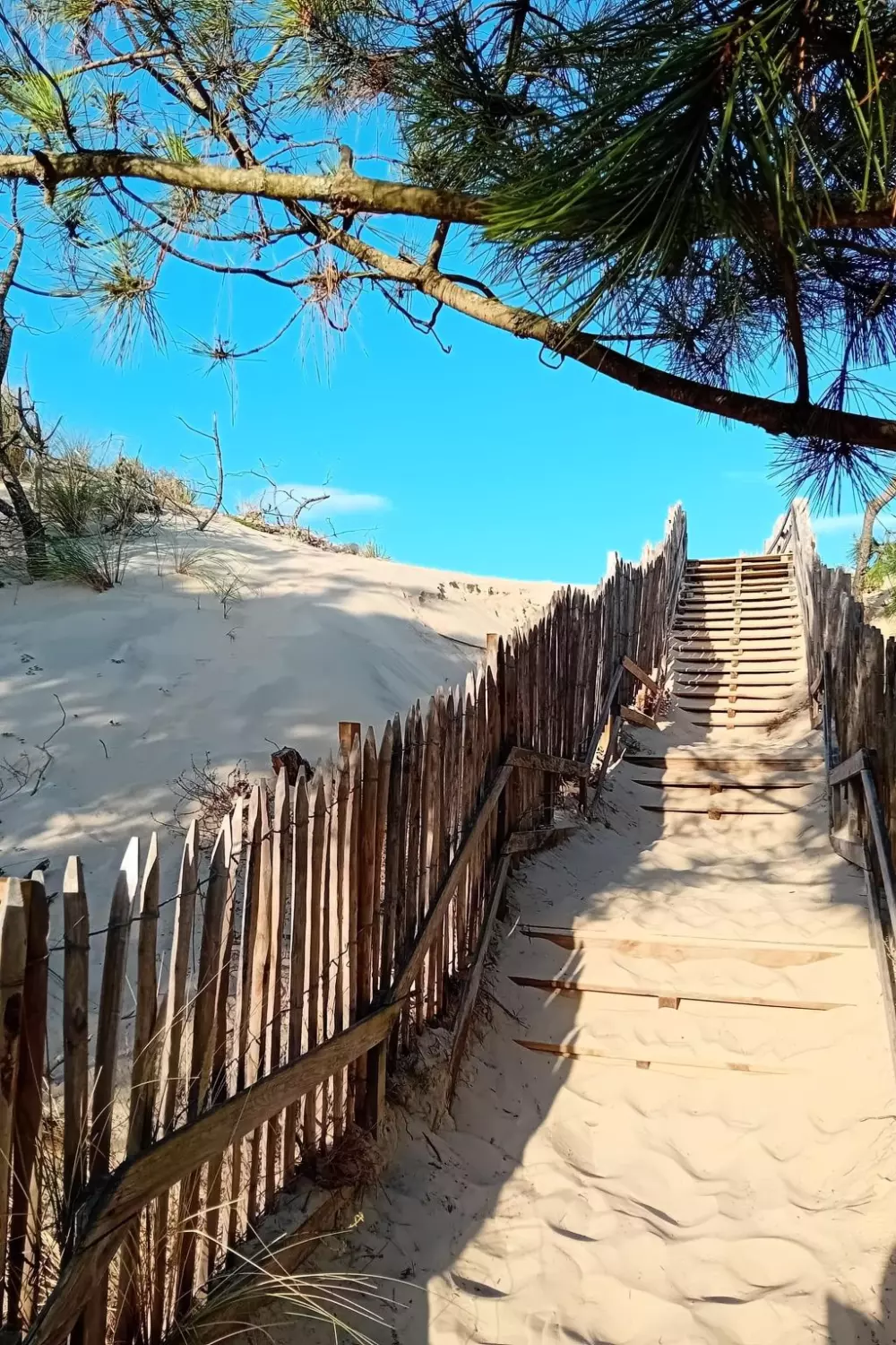 Maison de Vacances Mimizan