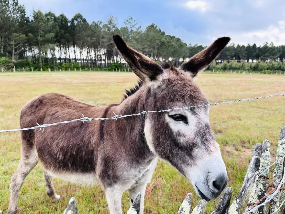 Ushuaïa Villages La Maïade 3 étoiles★★★