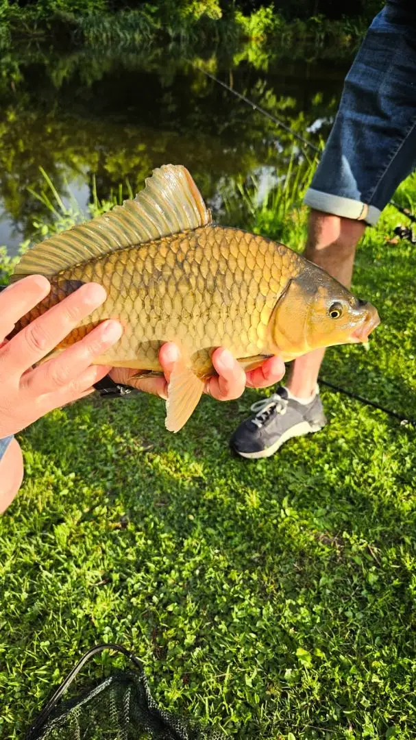 Gîte de France L'etang 2 épis