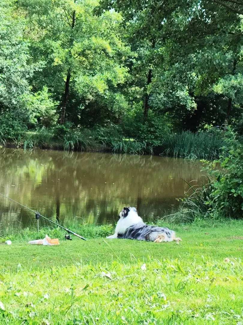 Gîte de France L'etang 2 épis