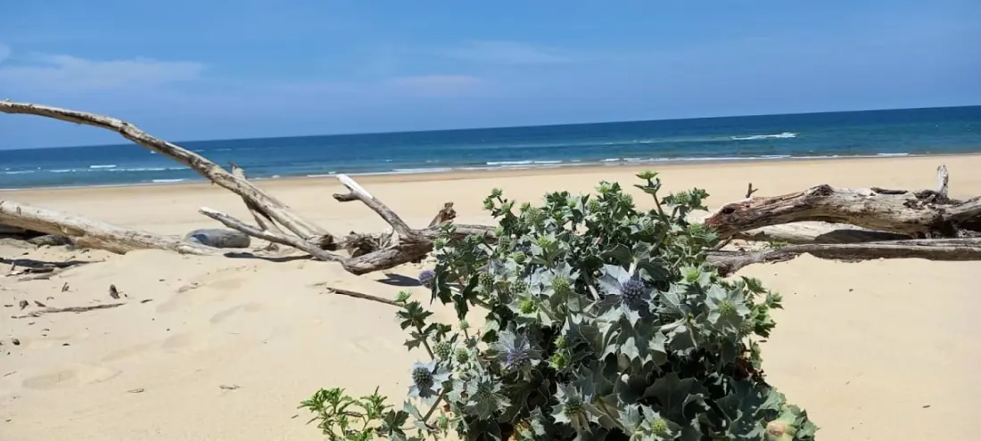 Bel Appartement Terrasse Et Jardin Proche Ocean