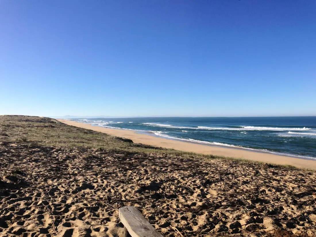 Location de Vacances Moliets-et-Maa 35