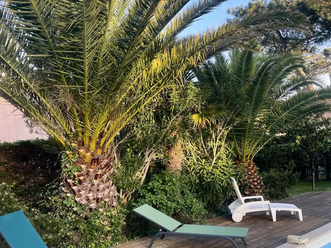 Maison de Vacances Moliets-et-Maa 75
