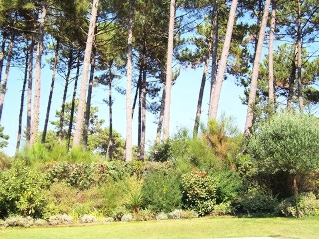 Maison de Vacances Moliets-et-Maa 83