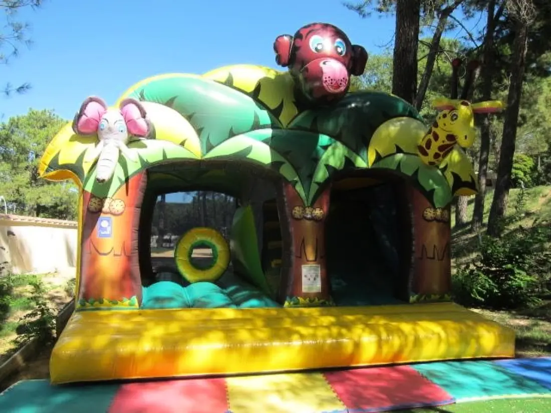 Camping La Pinède en Provence 3 étoiles★★★