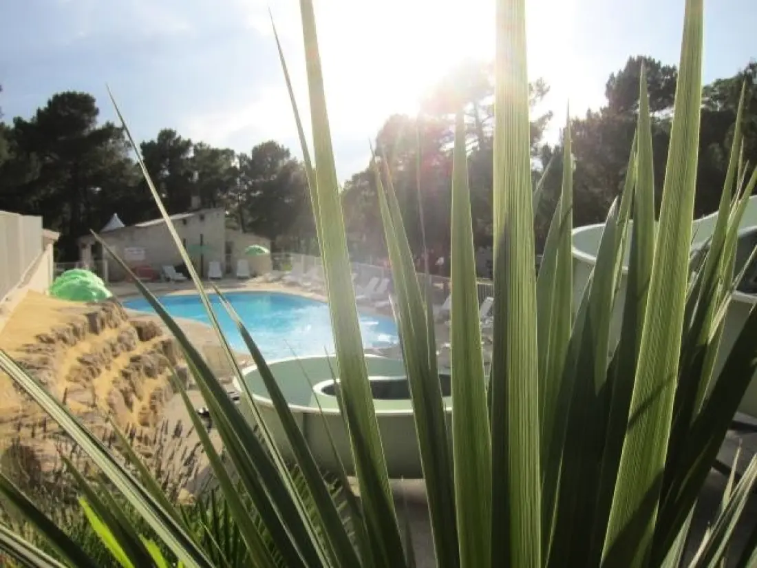 Camping La Pinède en Provence 3 étoiles★★★