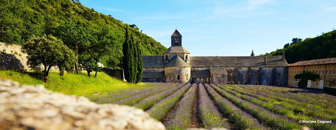 Camping La Pinède en Provence 3 étoiles★★★